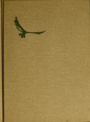 Cover of: The King's falcon