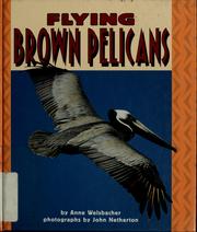 Cover of: Flying brown pelicans by Anne Welsbacher