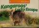 Cover of: Kangaroos' lucky escape