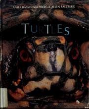 Cover of: Turtles | Anita Baskin-Salzberg