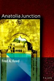 Cover of: Anatolia Junction: A Journey int