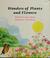 Cover of: Wonders of plants and flowers