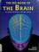 Cover of: The big book of the brain