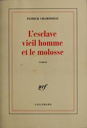 Cover of: L'esclave vieil homme et le molosse: roman