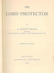 The Lord Protector by S. Levett Yeats