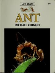 Cover of: Ant by Michael Chinery