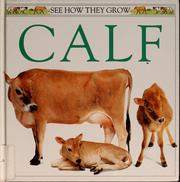 Calf by Gordon Clayton