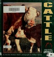 Cover of: Cattle by Dorothy Hinshaw Patent