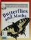 Cover of: Butterflies and moths