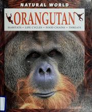 Orangutan by Stephen Brend