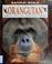 Cover of: Orangutan