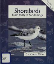 Cover of: Shorebirds by Sara Swan Miller