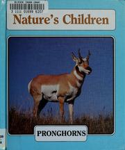 Cover of: Pronghorns by Elma Schemenauer