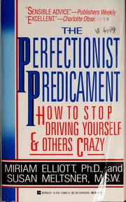 Cover of: The perfectionist predicament: how to stop driving yourself and others crazy