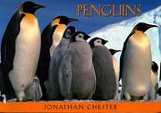 Cover of: Penguins: 23 Postcards