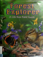 Cover of: Forest explorer: a life-size field guide
