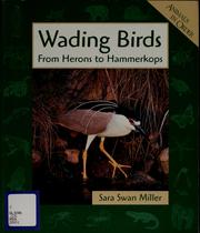 Wading birds by Sara Swan Miller