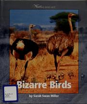 Cover of: Bizarre birds