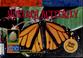 Cover of: Monarch Butterfly