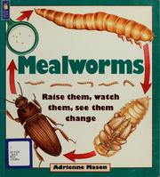 Cover of: Mealworms by Adrienne Mason