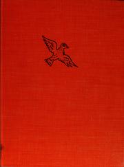 Cover of: Evangeline: pigeon of Paris.