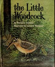 The little woodcock by Berniece Freschet