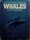Cover of: The sea world book of whales