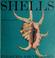 Cover of: Shells.