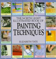 Cover of: The North Light Illustrated Book of Painting Techniques