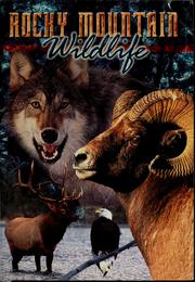 Cover of: Wildlife of the Rocky Mountains