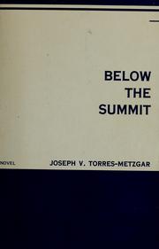 Below the summit by Joseph V. Torres-Metzgar
