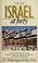 Cover of: Israel at forty, 1948-1988