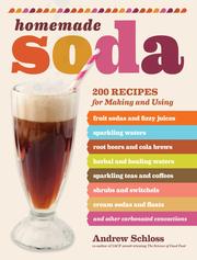 Cover of: Homemade soda by Andrew Schloss