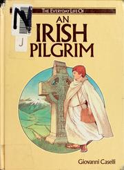 Cover of: An Irish pilgrim