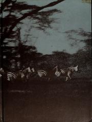 Cover of: World encyclopedia of animals