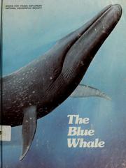 Cover of: The blue whale