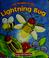 Cover of: The parable of the lightning bug