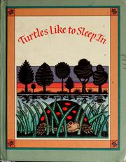 Cover of: Turtles like to sleep in
