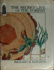 The secret life of the forest by Richard M. Ketchum