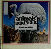 Cover of: Animals in danger, North America