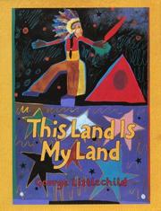 This Land Is My Land by George Littlechild