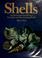 Cover of: Shells