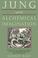 Cover of: Jung and the Alchemical Imagination (Jung on the Hudson Book Series)