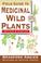 Cover of: Field guide to medicinal wild plants