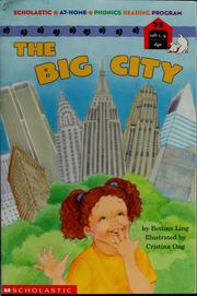 Cover of: The big city