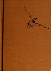 Clarion the killdeer by Helen Ross Russell