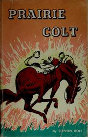 Cover of: Prairie colt by Stephen Holt