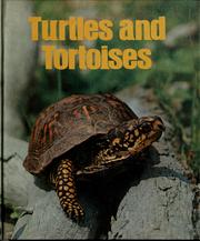 turtles-and-tortoises-cover