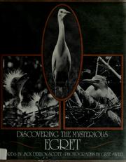Cover of: Discovering the mysterious egret