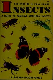 Cover of: Insects by Herbert S. Zim